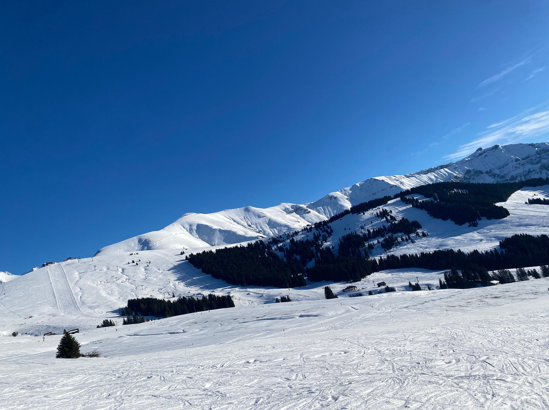Mont d'Arbois Ski Area景点图片