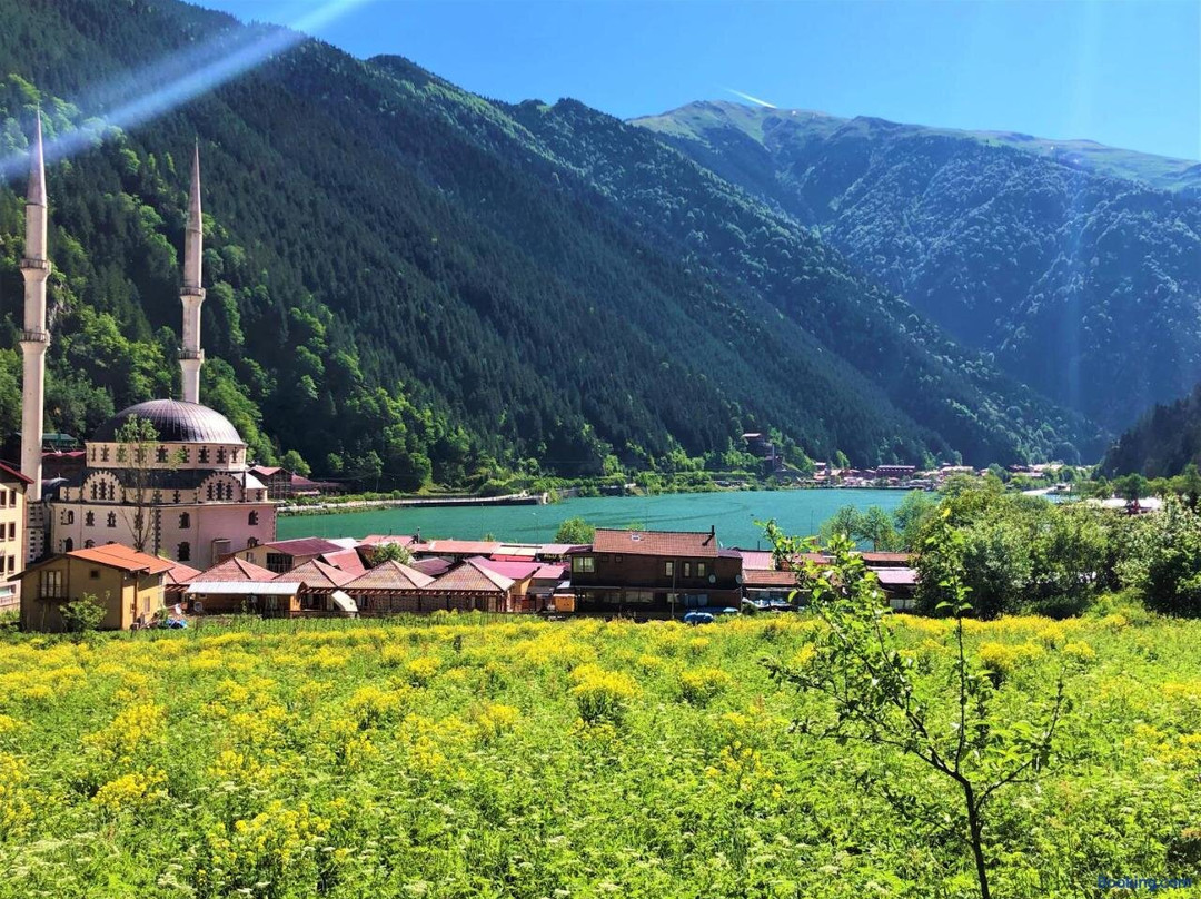 Ilhan套房酒店主图