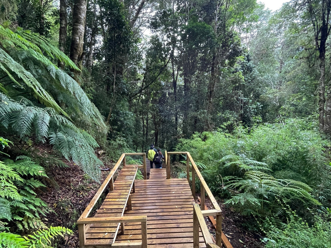 Magical Tours Chile-蒙特港必去景点