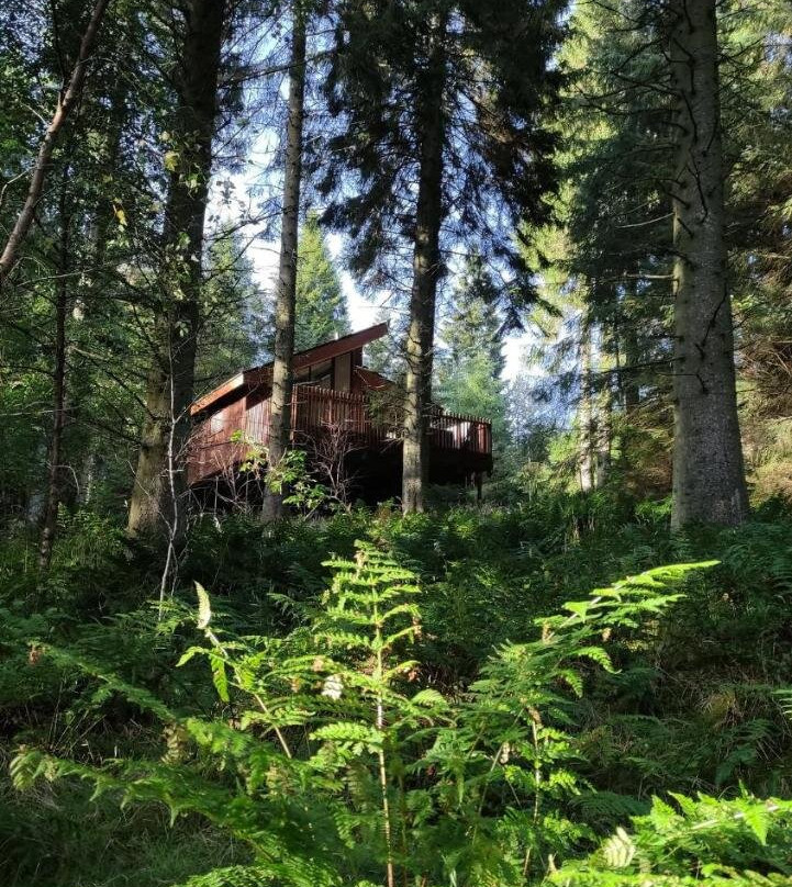 Glentress Forest Lodges
