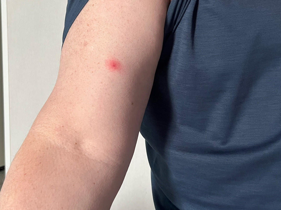 Hampton Inn & Suites Buffalo/airport主图