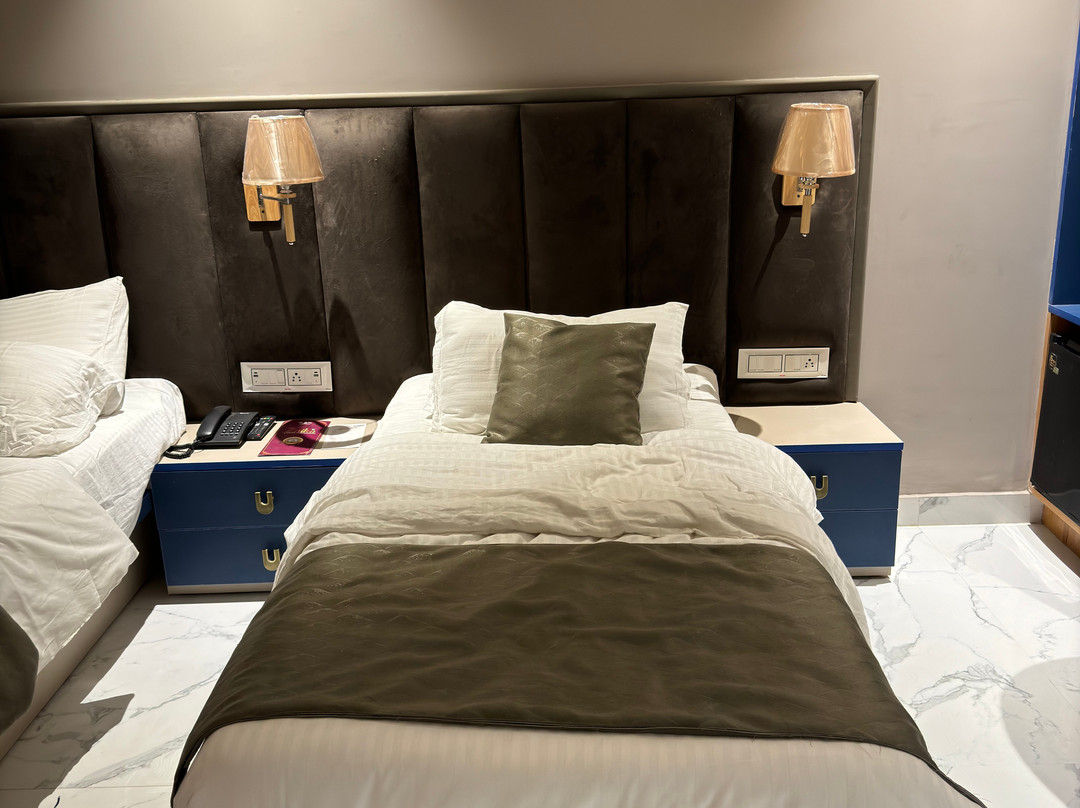 Pinky Hotel,Dausa主图