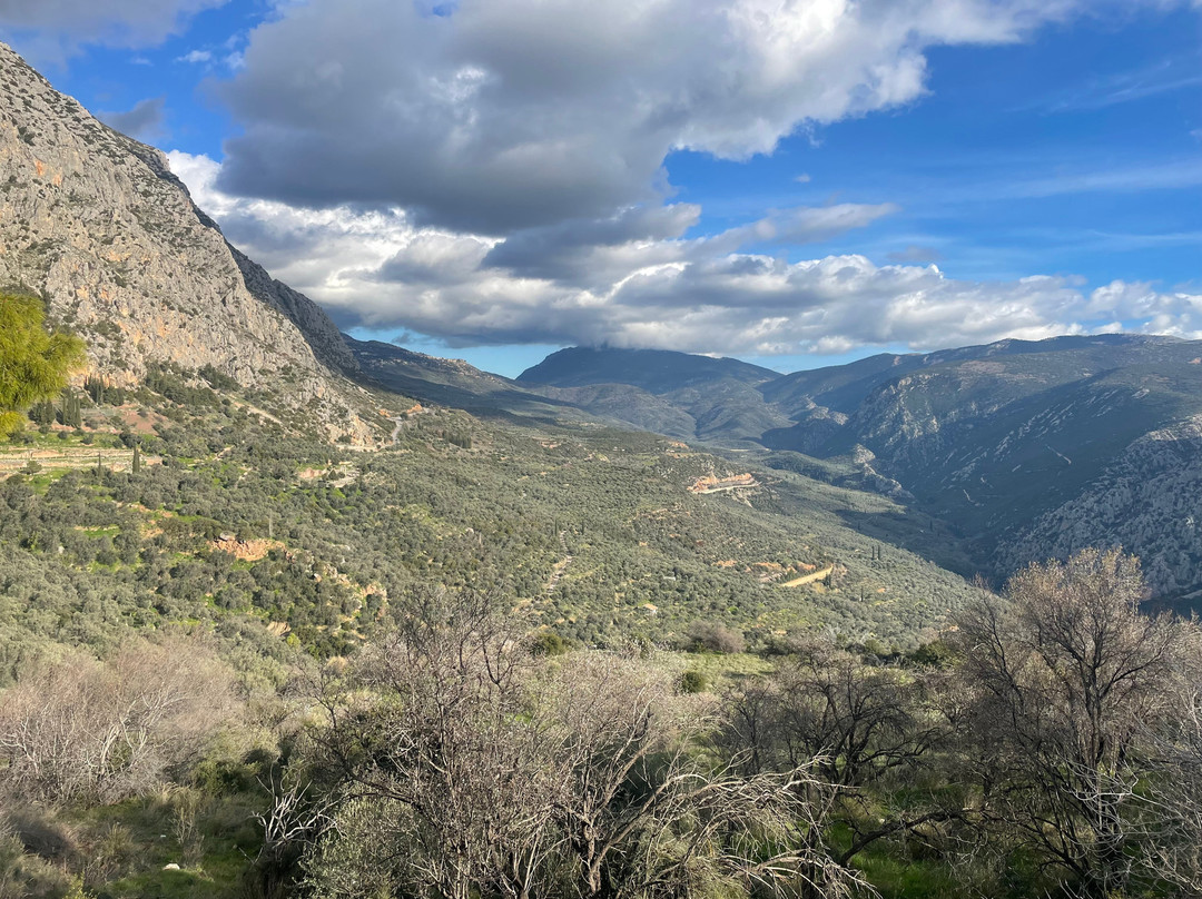 Pythia Art Hotel主图