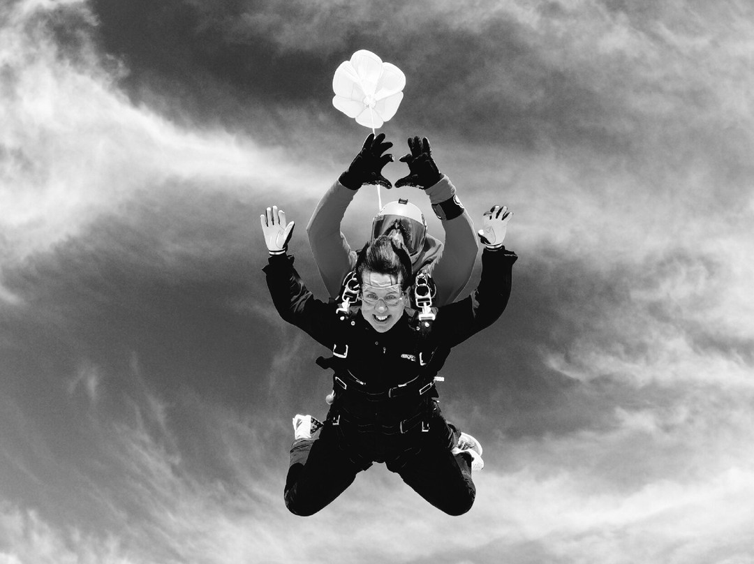 Skydive Langar景点图片