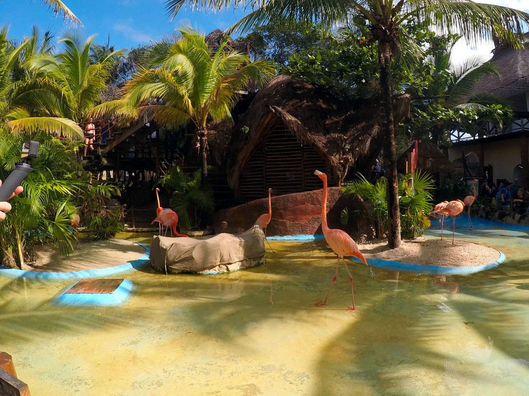 Costa Maya Cruise Port景点图片