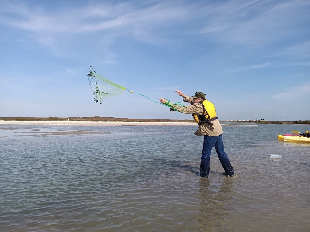 Nature Trails Kayaking-科珀斯克里斯蒂市必去景点