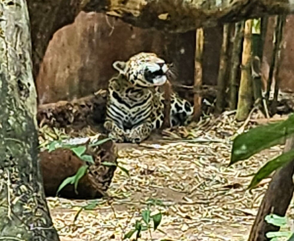 Choco Story uxmal-乌科斯玛必去景点