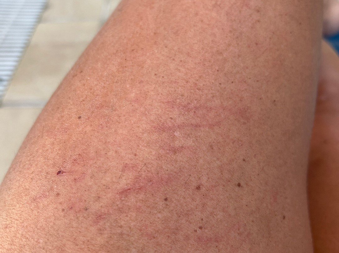 Casa do Remo-Barra de Guaratiba必去景点