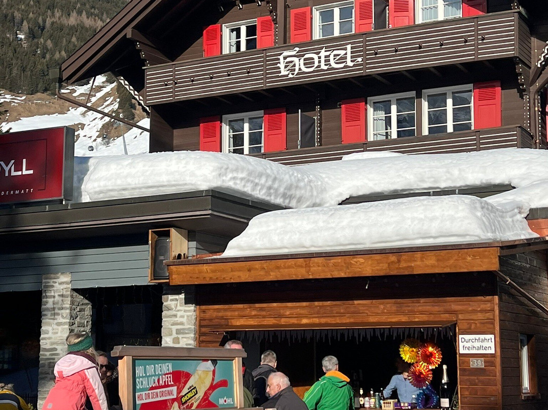 Hotel Bergidyll主图