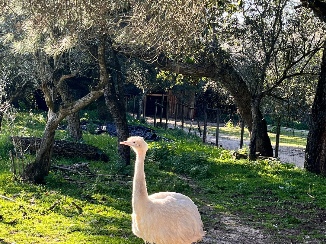 Europaradise景点图片