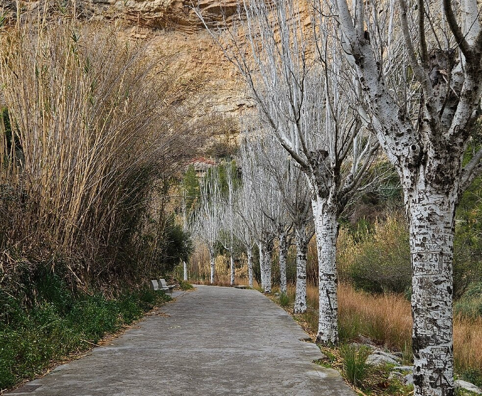 Fuente de los Banos de Montanejos景点图片