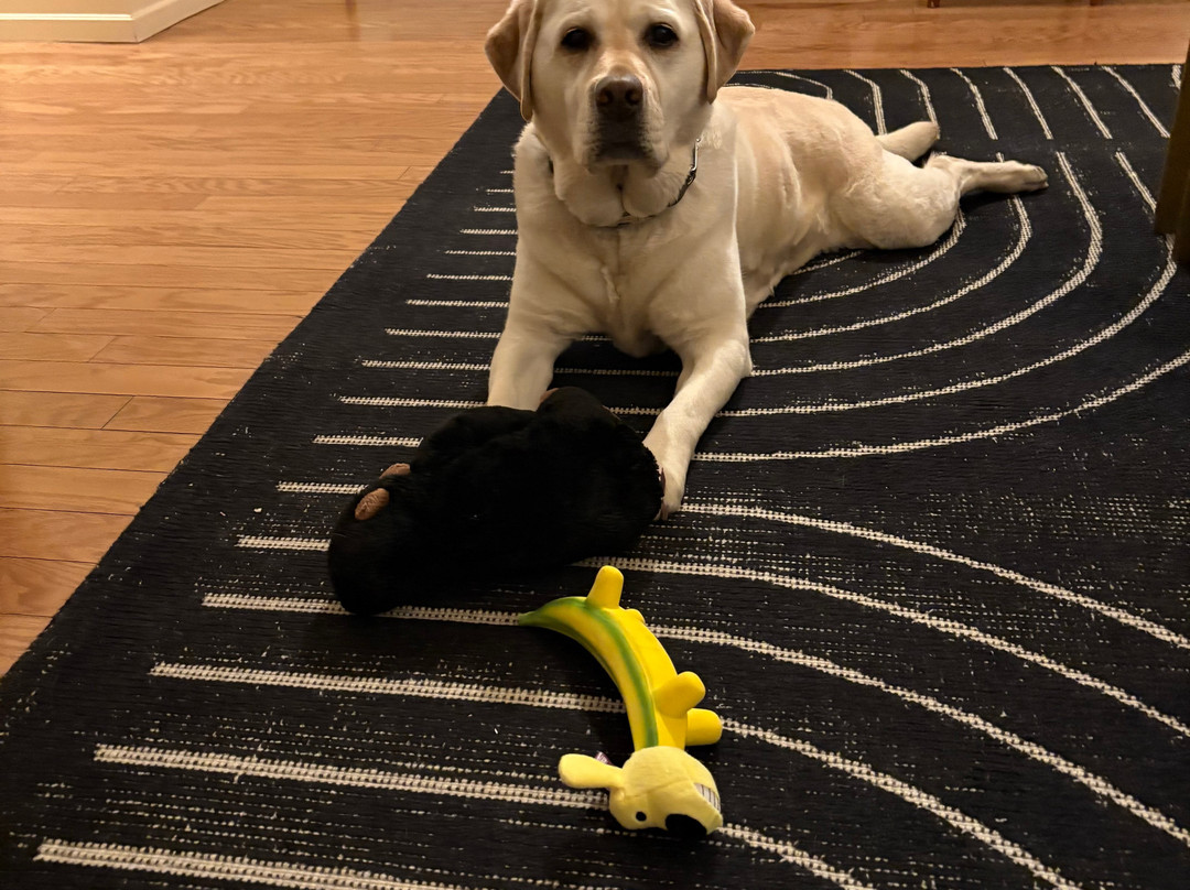 The Francis Hotel主图