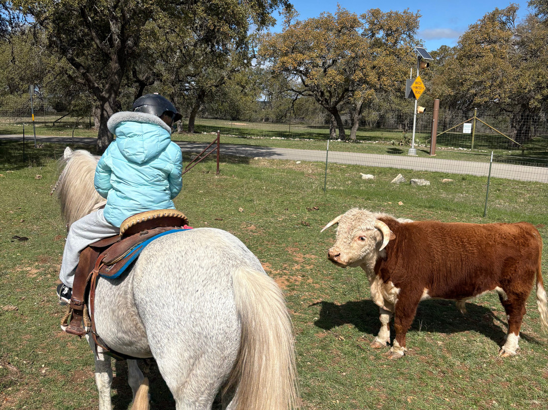 Horseback Adventures of Central Texas-Wimberley必去景点