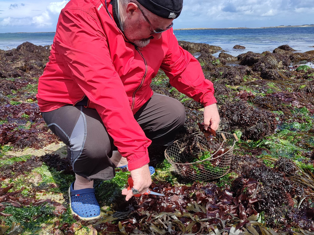 Maison Des Abers - Ti An Aberioù-Saint-Pabu必去景点