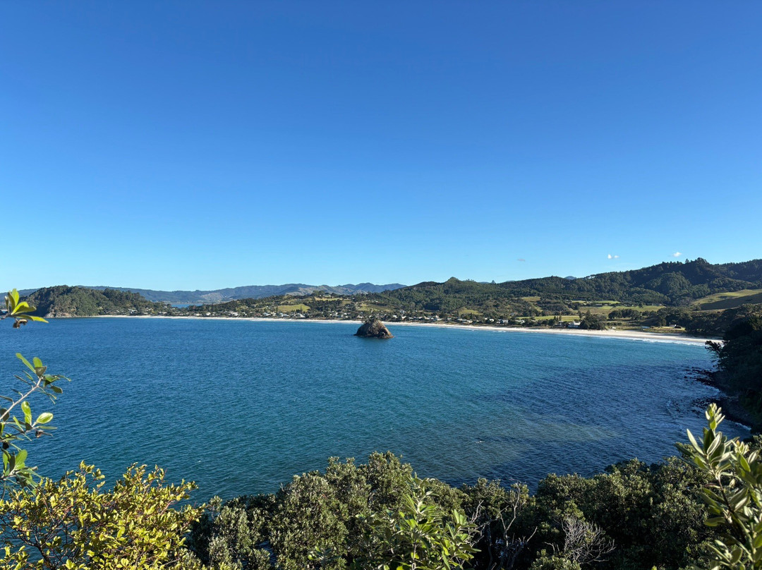Whangapoua Beach景点图片