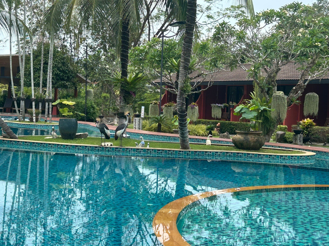 麦摩度假村主图