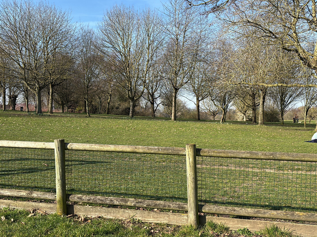 Swanley Park景点图片