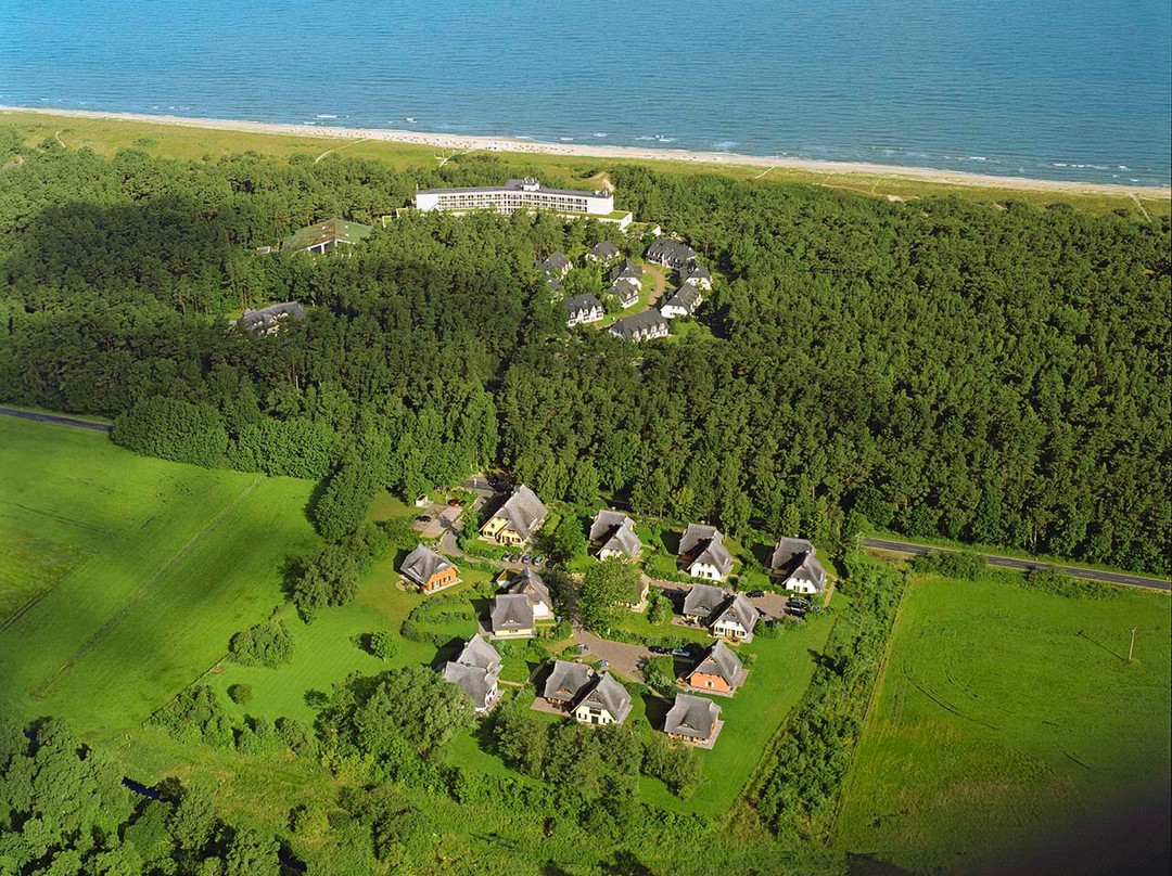 Fischland Restaurant