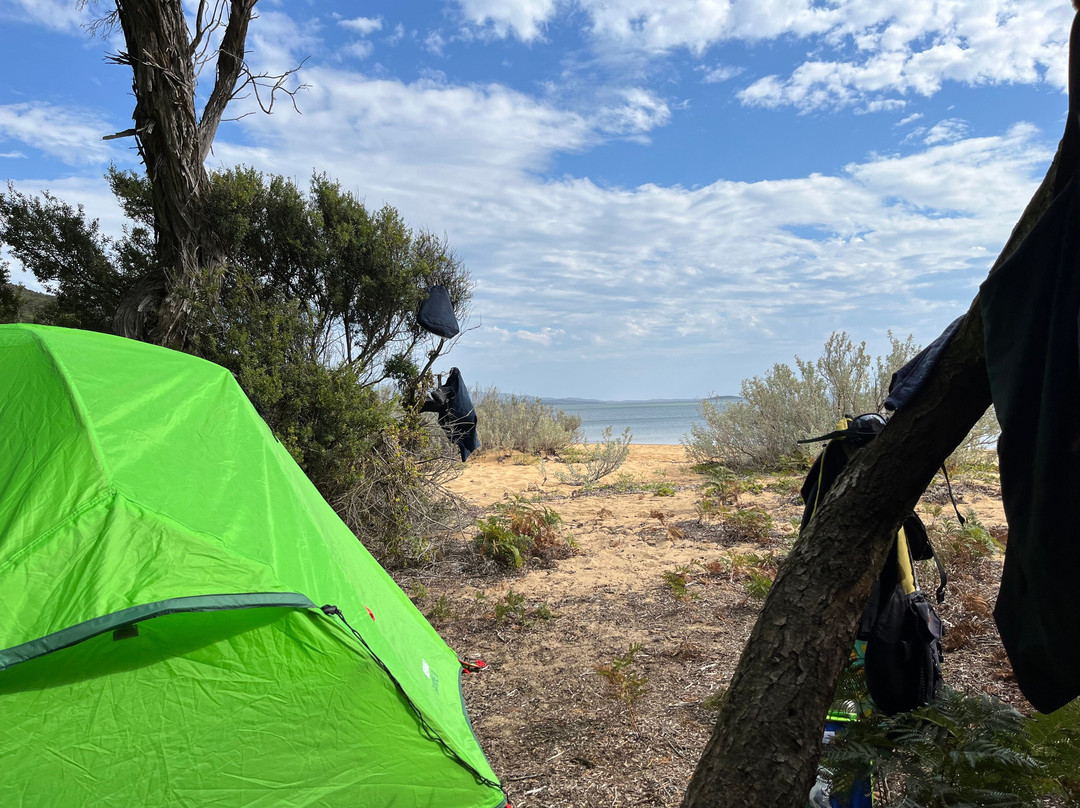 Sea Kayak Australia-Abbotsford必去景点