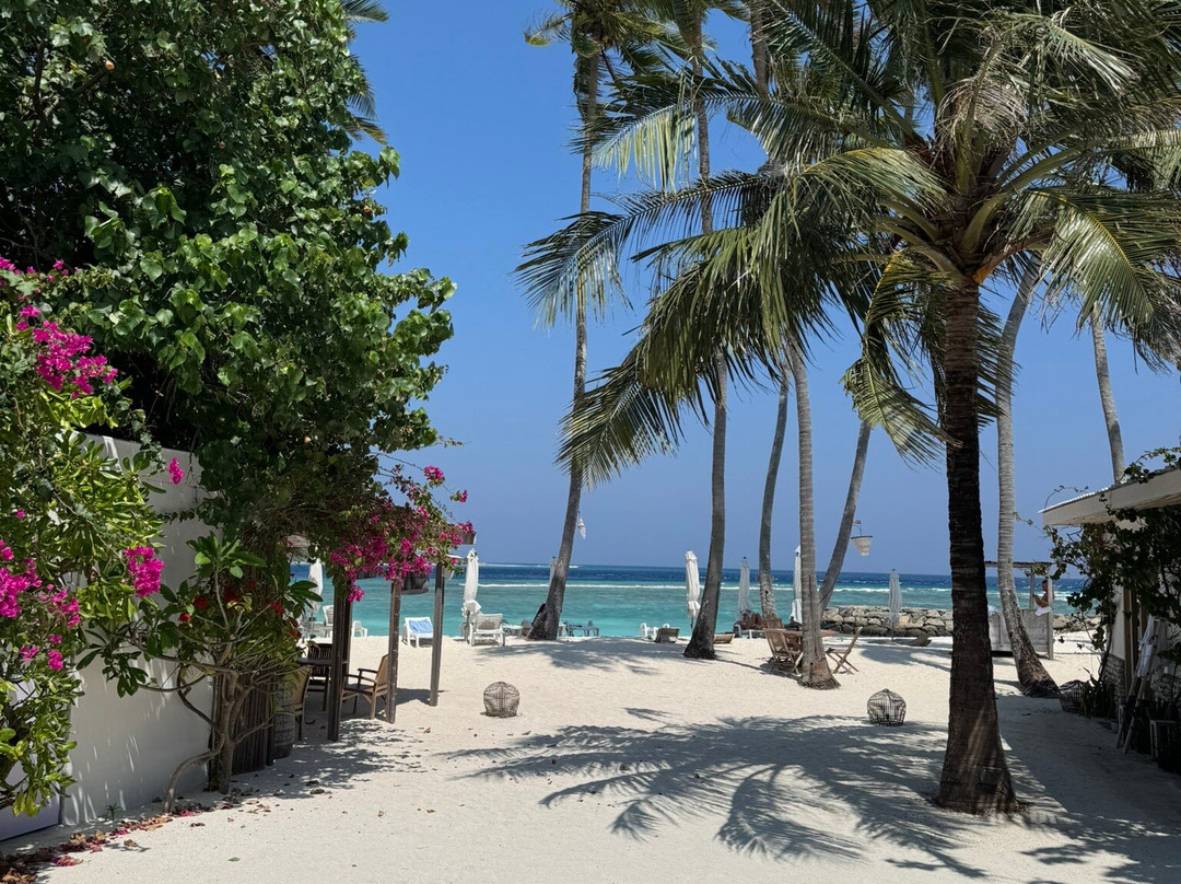 麦特楼住宿加早餐旅馆主图