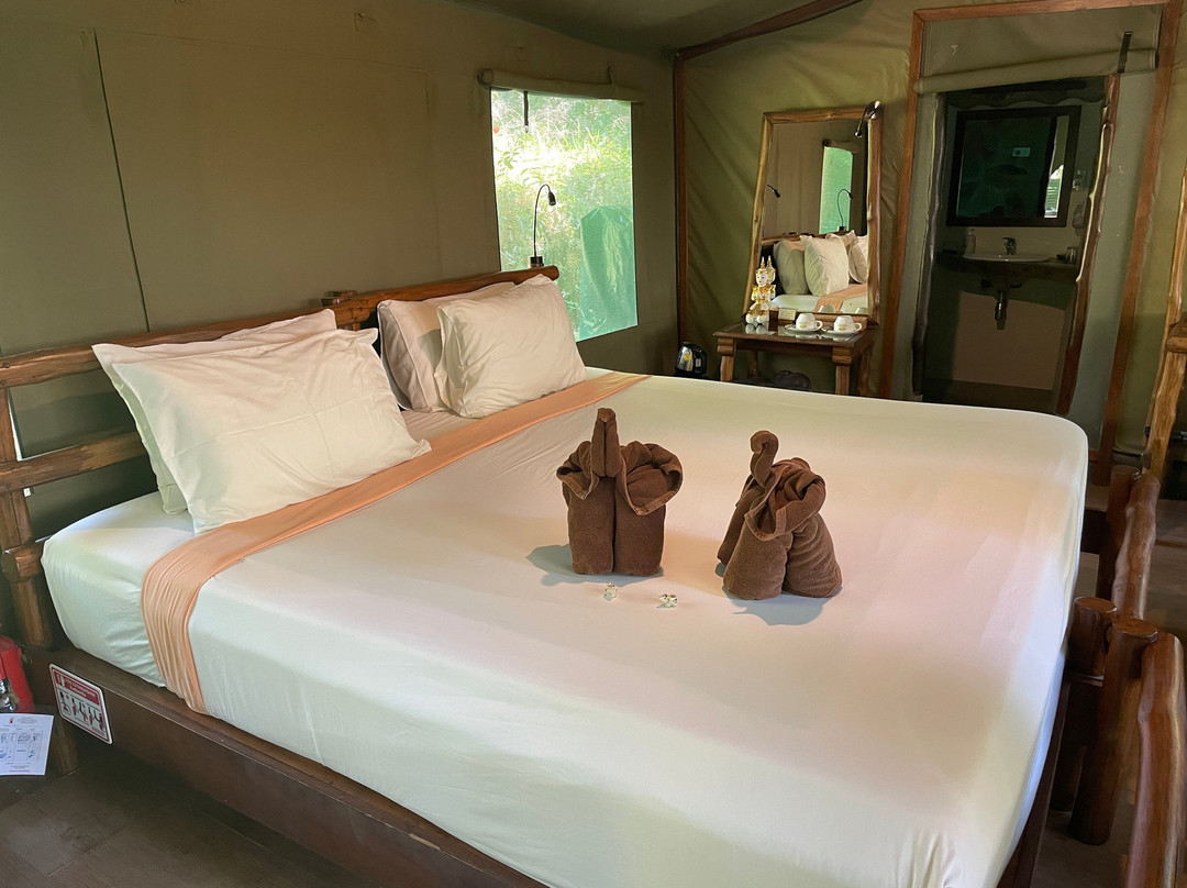 Elephant Hills主图