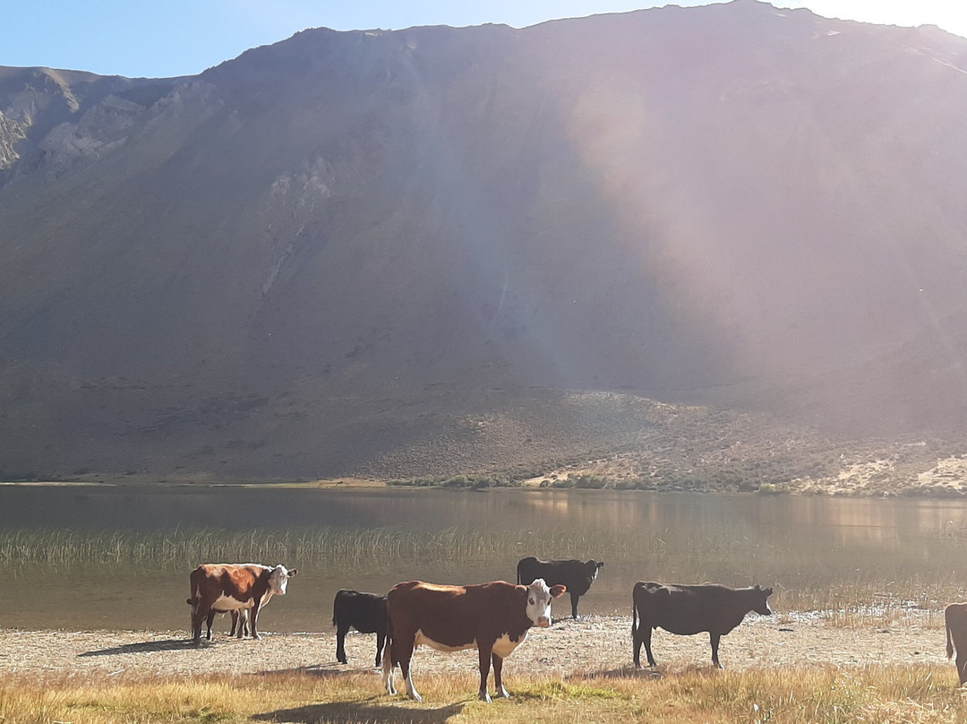 Laguna Wilmanco-Esquel必去景点