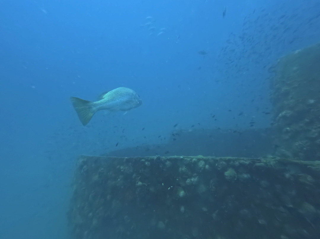 Local Divers-象岛必去景点