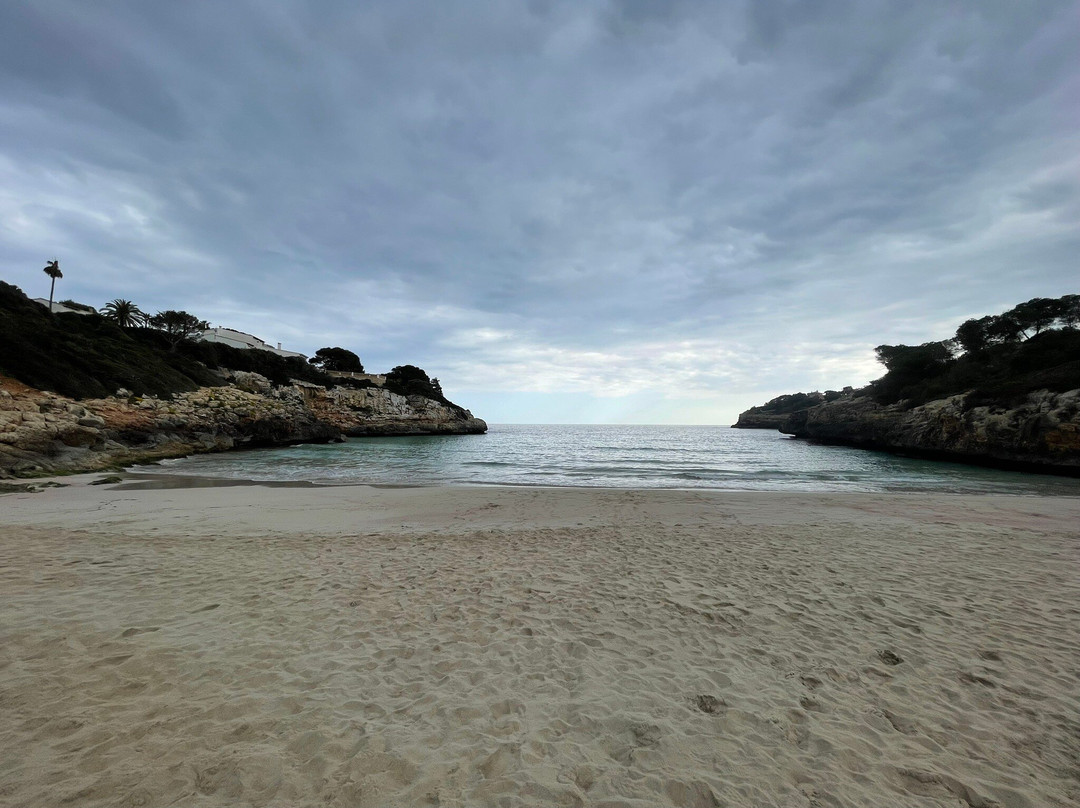 Cala Anguila-马纳科尔必去景点