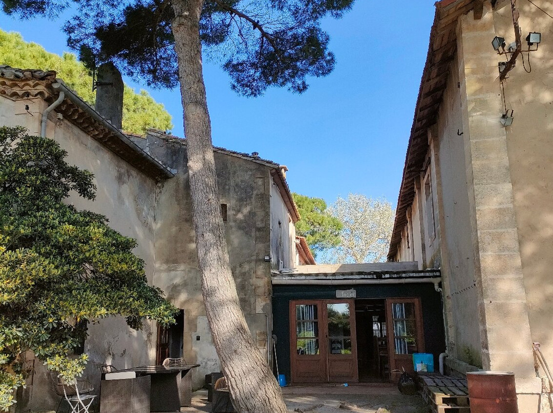 Domaine de Maguelonne-滨海圣玛丽必去景点