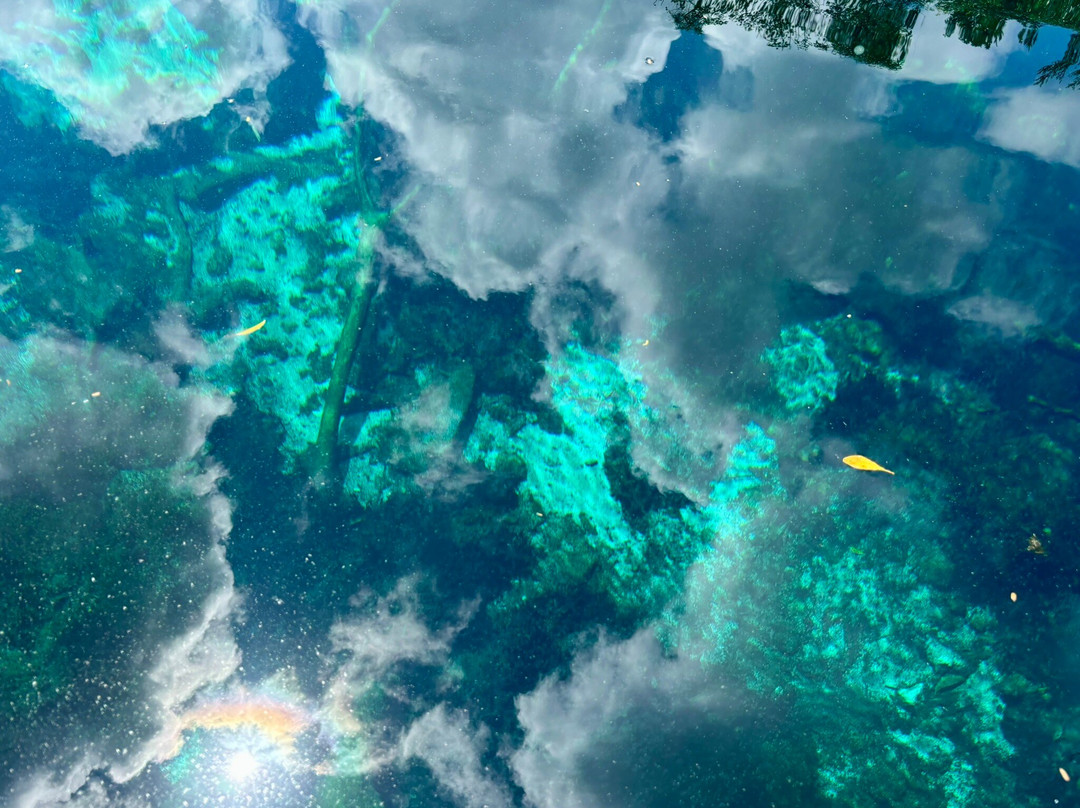 Flying Fish Tulum-图伦必去景点