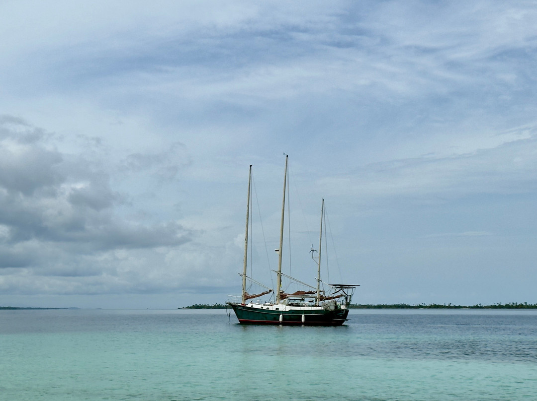 Anemoi Sailing景点图片