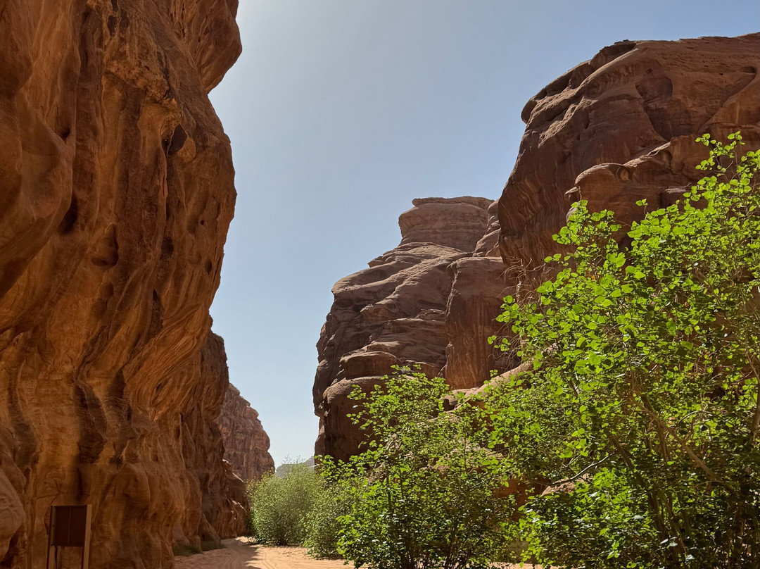 Wejhat Tours-Tabouk必去景点