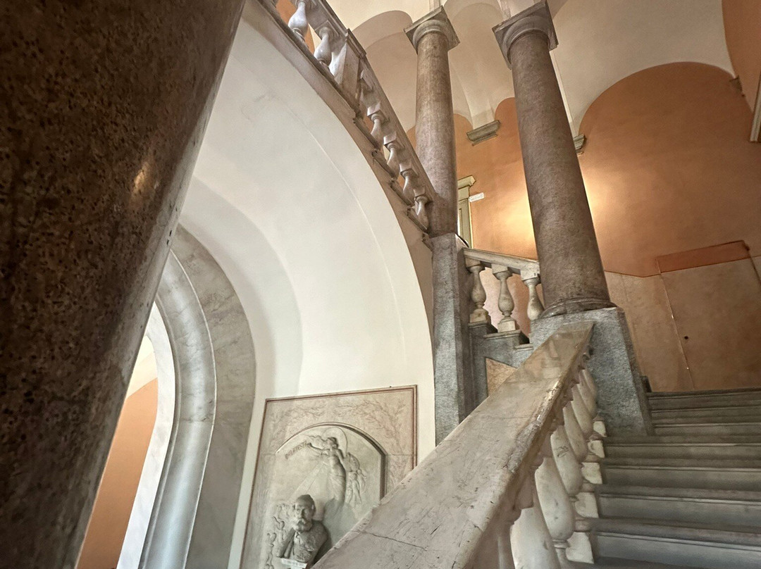 Museo Civico d'Arte-摩德纳必去景点