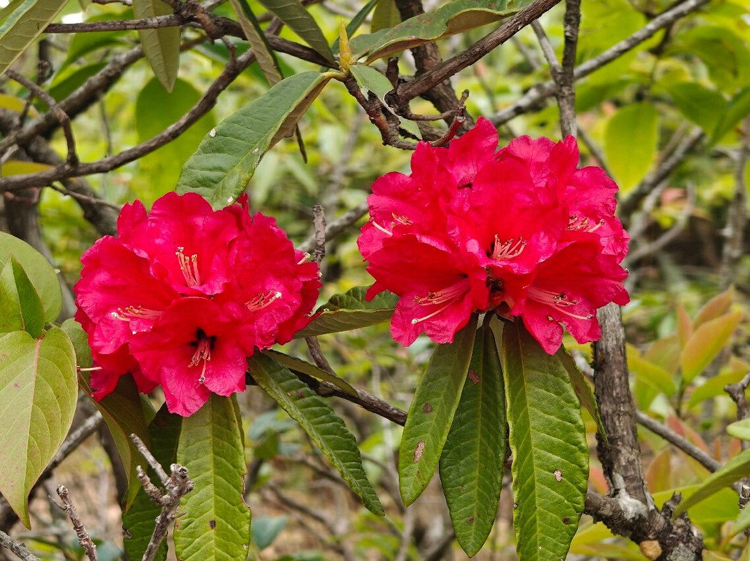Shivapuri Nagarjun National Park-加德满都必去景点