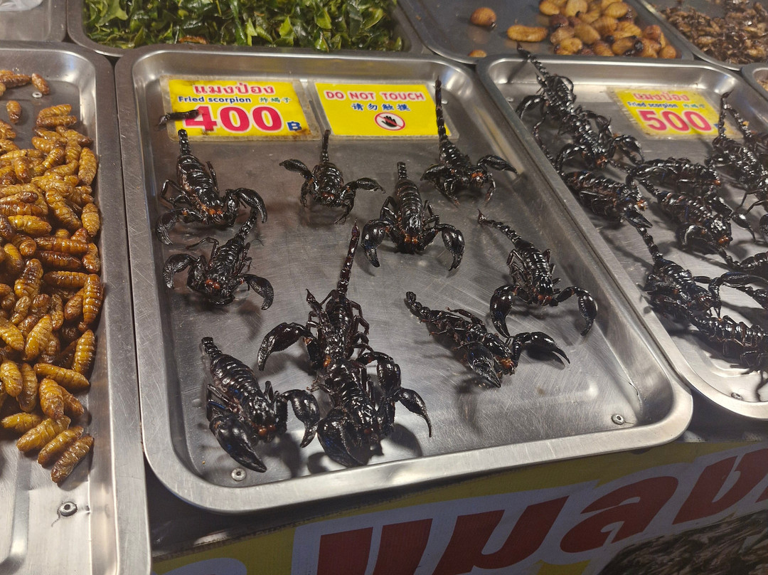 集装箱夜市-普吉镇必去景点