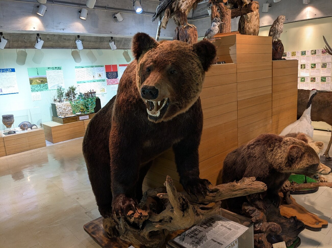 Pogawa Historical Place Forest Park-标津町必去景点