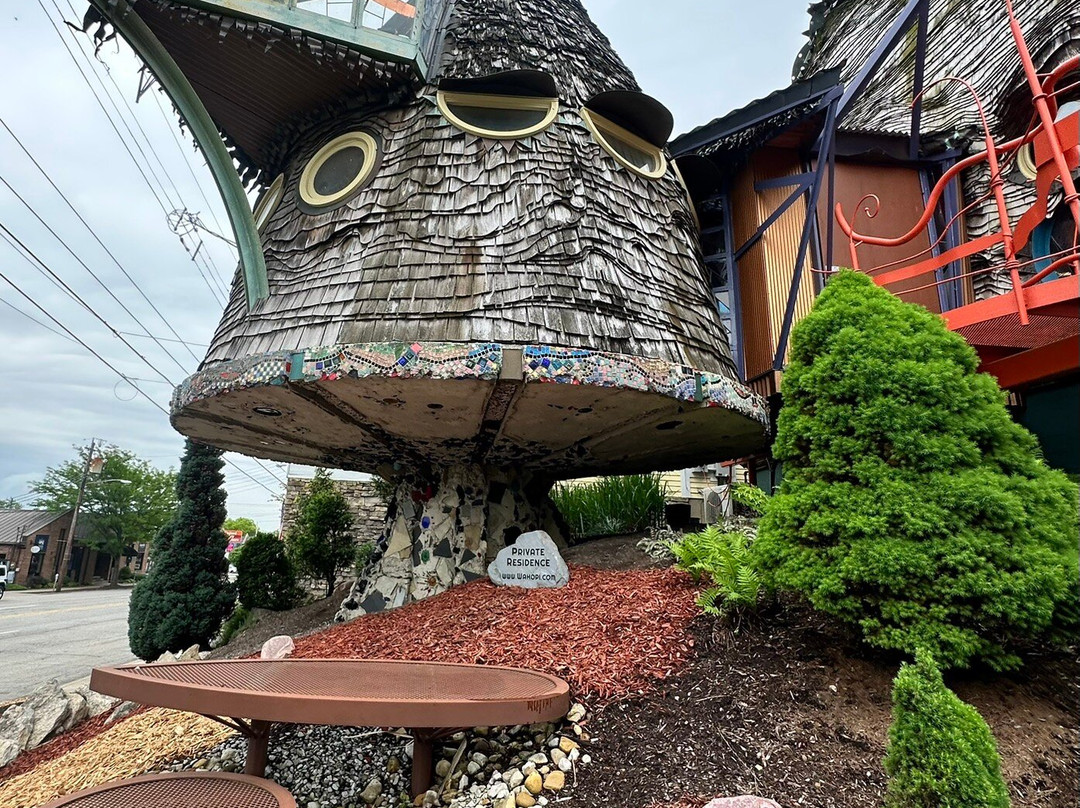 Mushroom House-辛辛那提必去景点