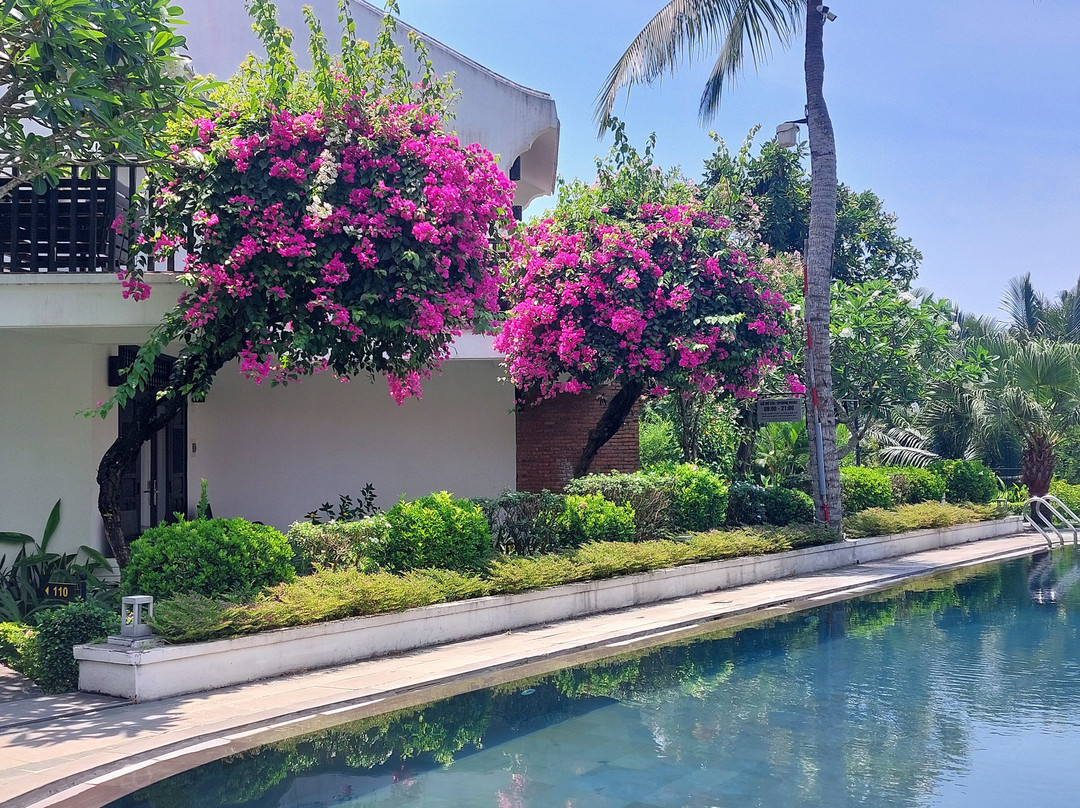 会安河可可度假酒店主图