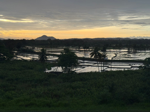 Travel With Tissa-康提必去景点