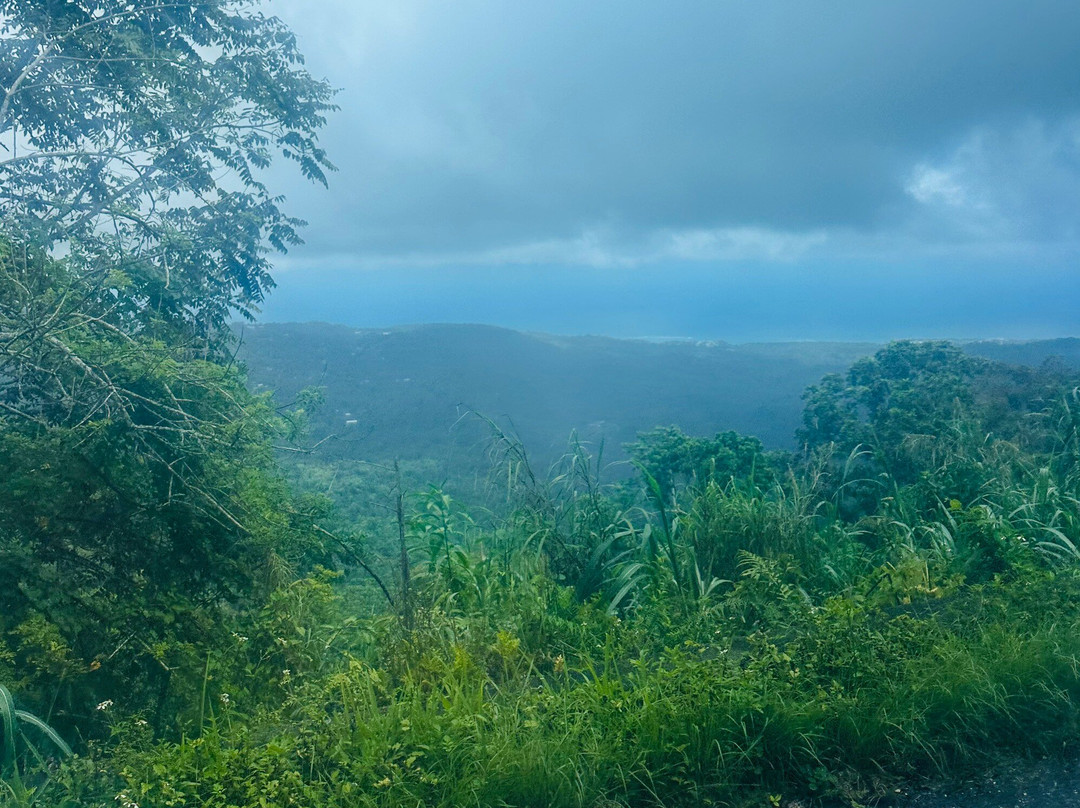 Yardie Tours-奥乔里奥斯必去景点