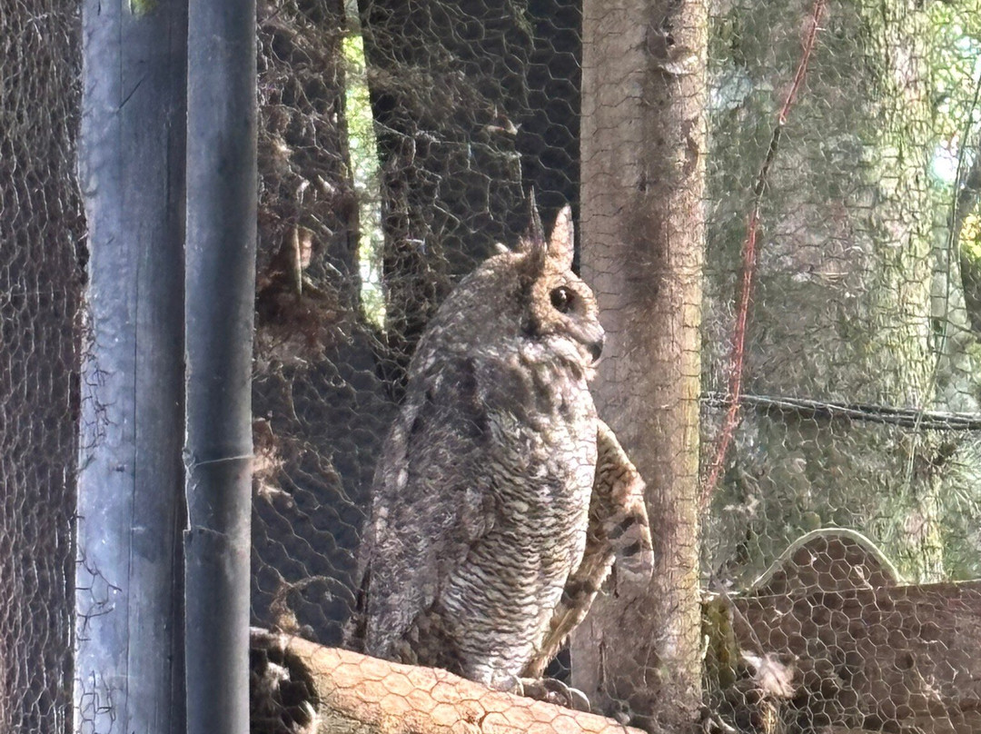 Gramadozoo-格拉玛多必去景点