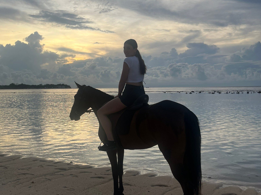 Gili Meno Stable Horse Riding Adventures-Gili Meno必去景点