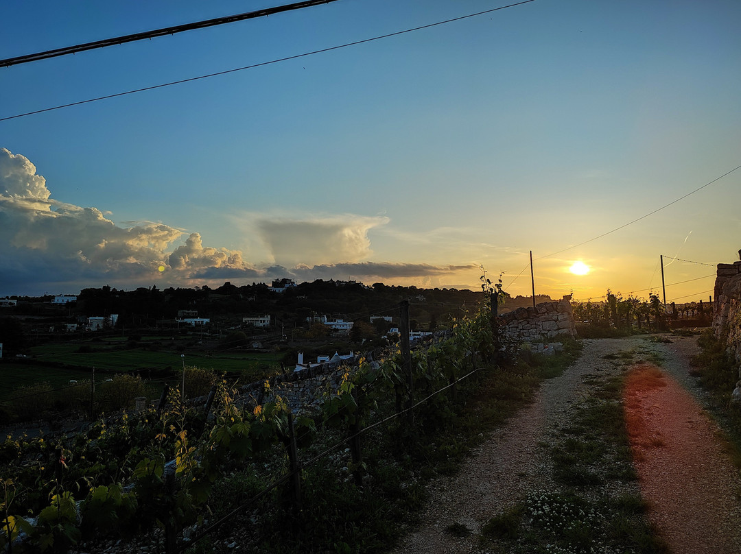 Azienda Agricola Bufano-洛科罗通多必去景点