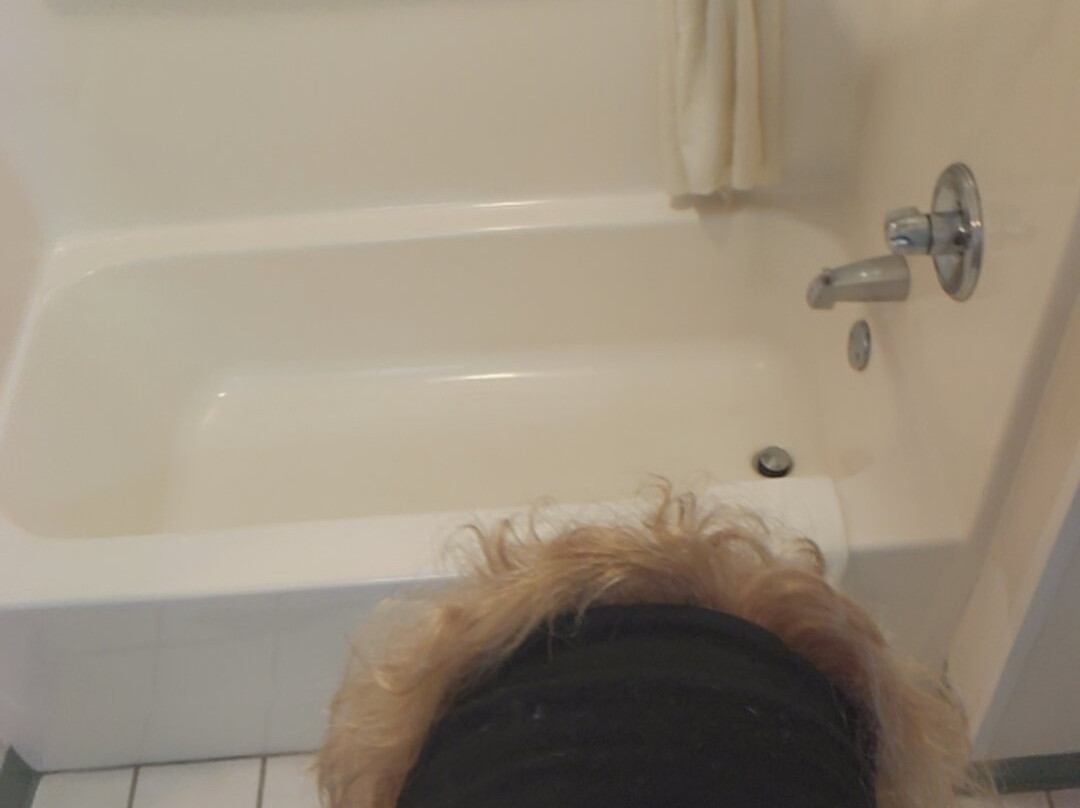 Wingate by Wyndham Schaumburg主图