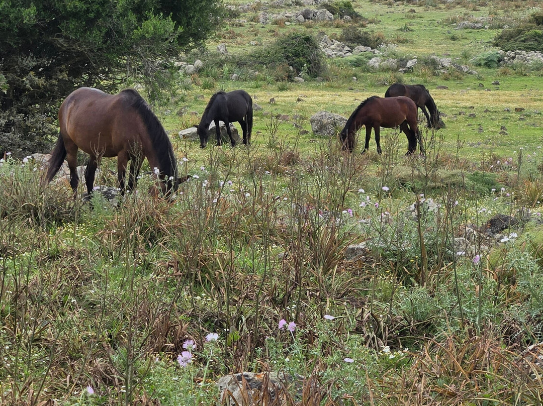 Inside Sardinia Guide-卡利亚里省必去景点