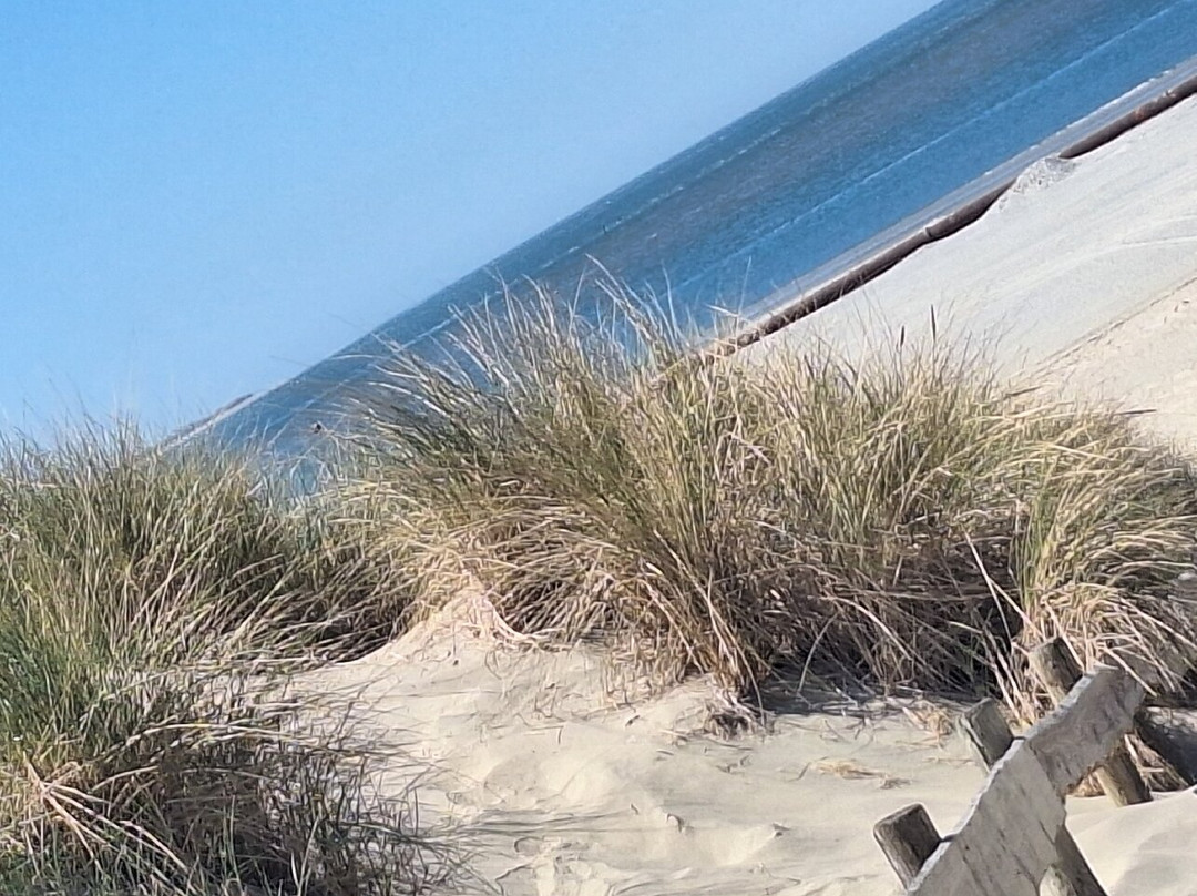 Vakantiepark Boomhiemke主图