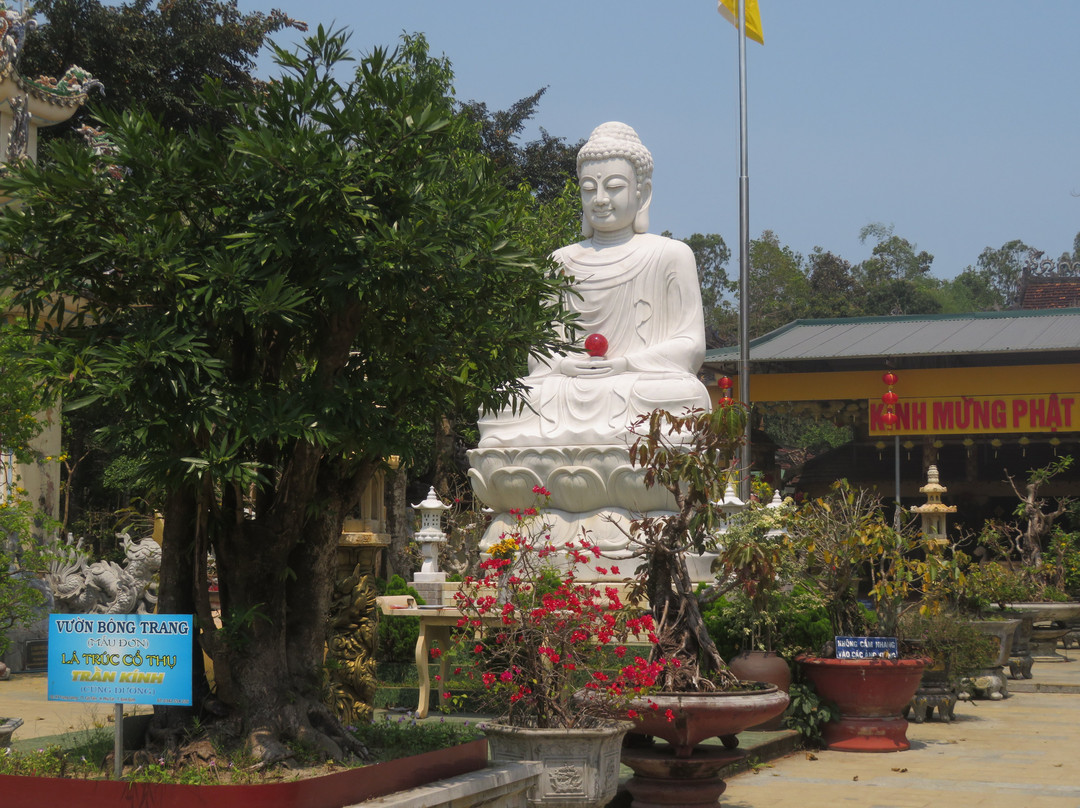 Thien An Pagoda-Quang Ngai必去景点