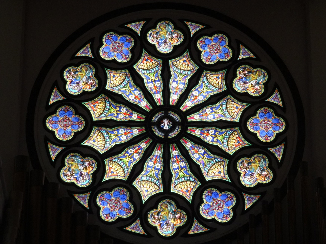 Immaculate Conception Cathedral-阿皮亚必去景点