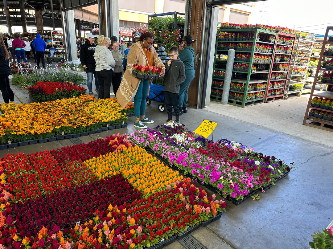 东方市场-底特律必去景点