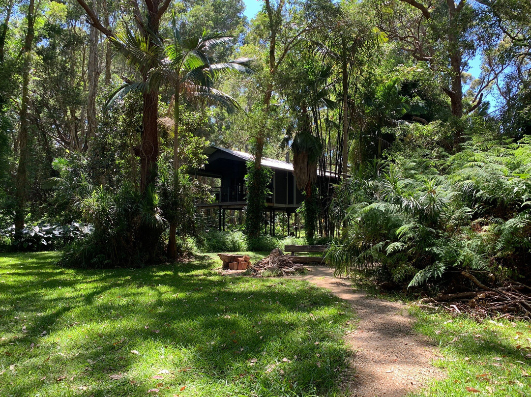 Treehouse Retreat at Diamond Waters主图